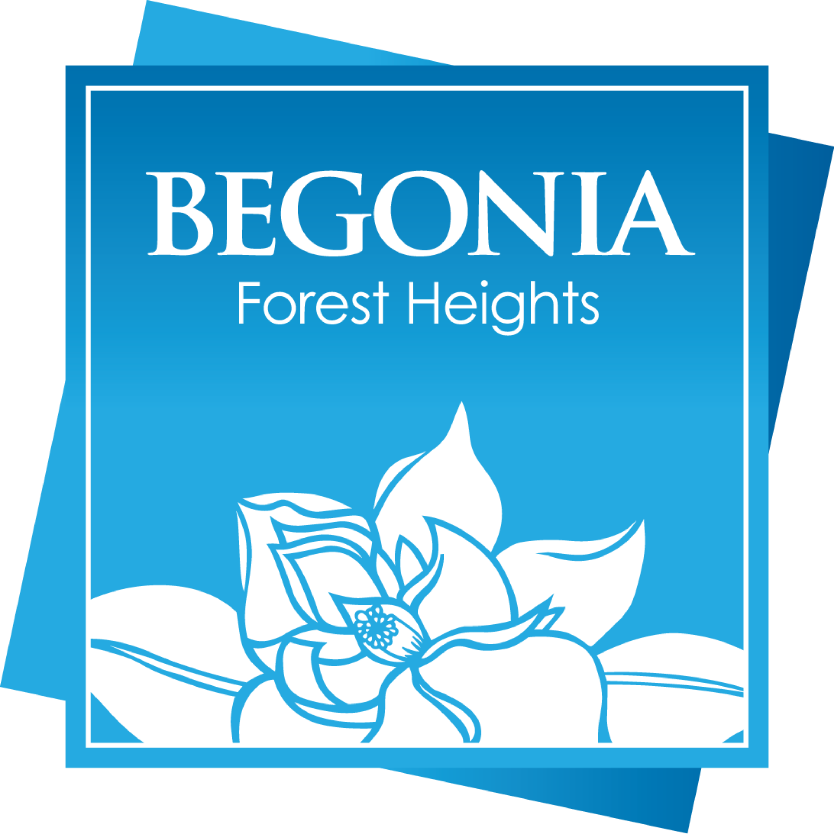 Begonia Forest Heights