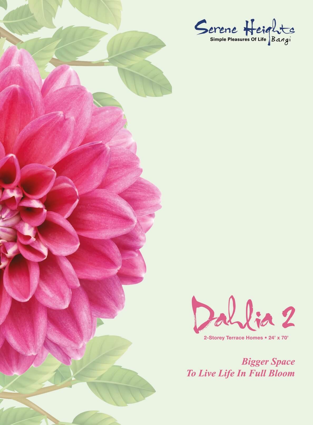 Dahlia 2 Double Storey Terrace Homes Brochure